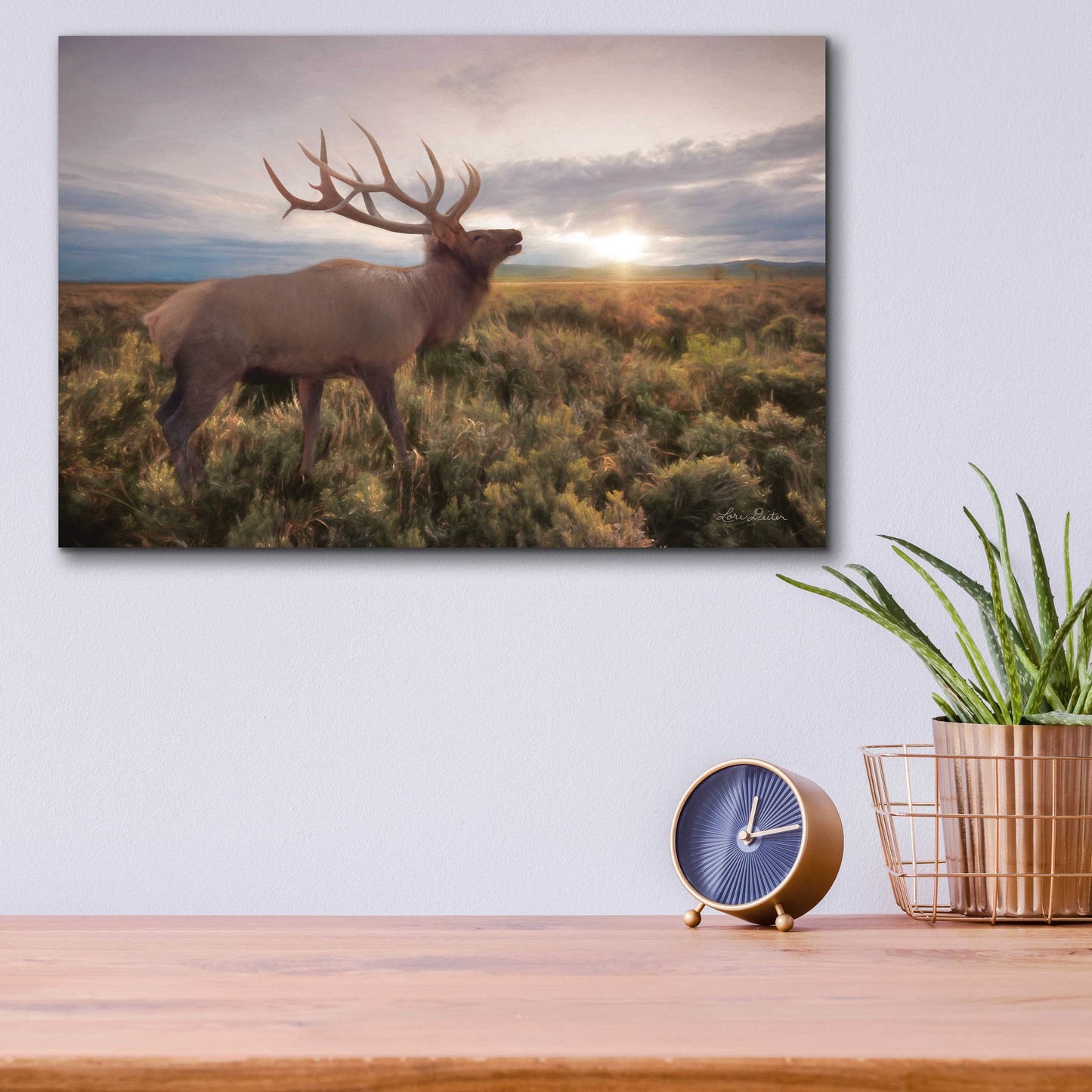 Epic Art 'Jackson Sunrise with Elk' by Lori Deiter Acrylic Glass Wall Art,16x12