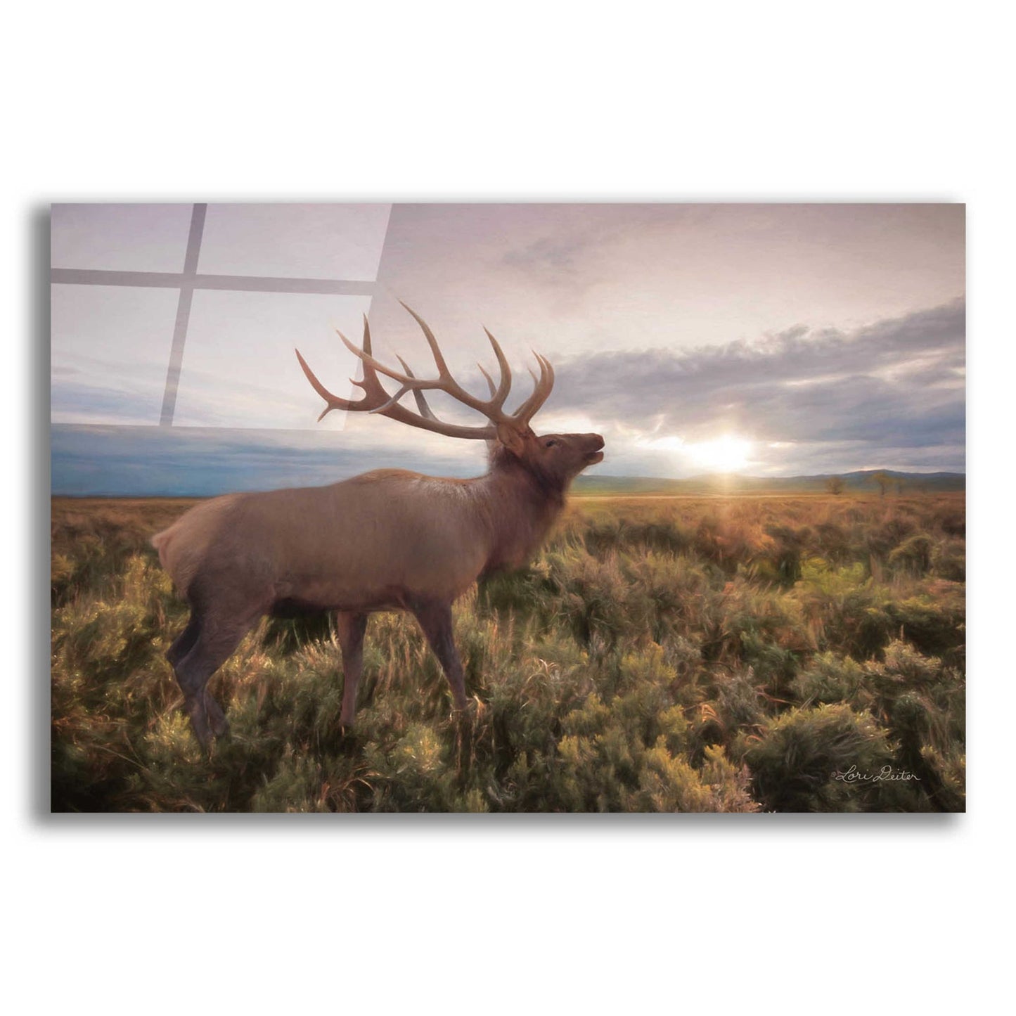 Epic Art 'Jackson Sunrise with Elk' by Lori Deiter Acrylic Glass Wall Art,24x16