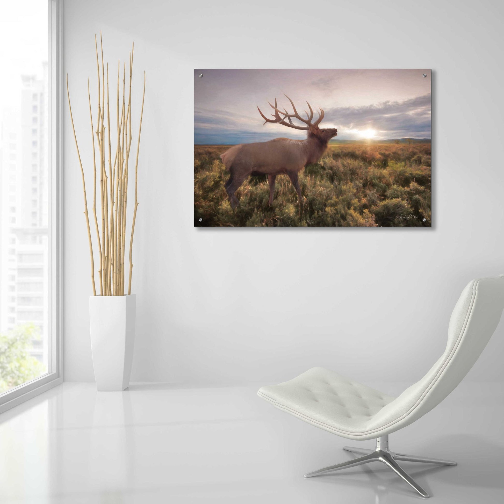 Epic Art 'Jackson Sunrise with Elk' by Lori Deiter Acrylic Glass Wall Art,36x24