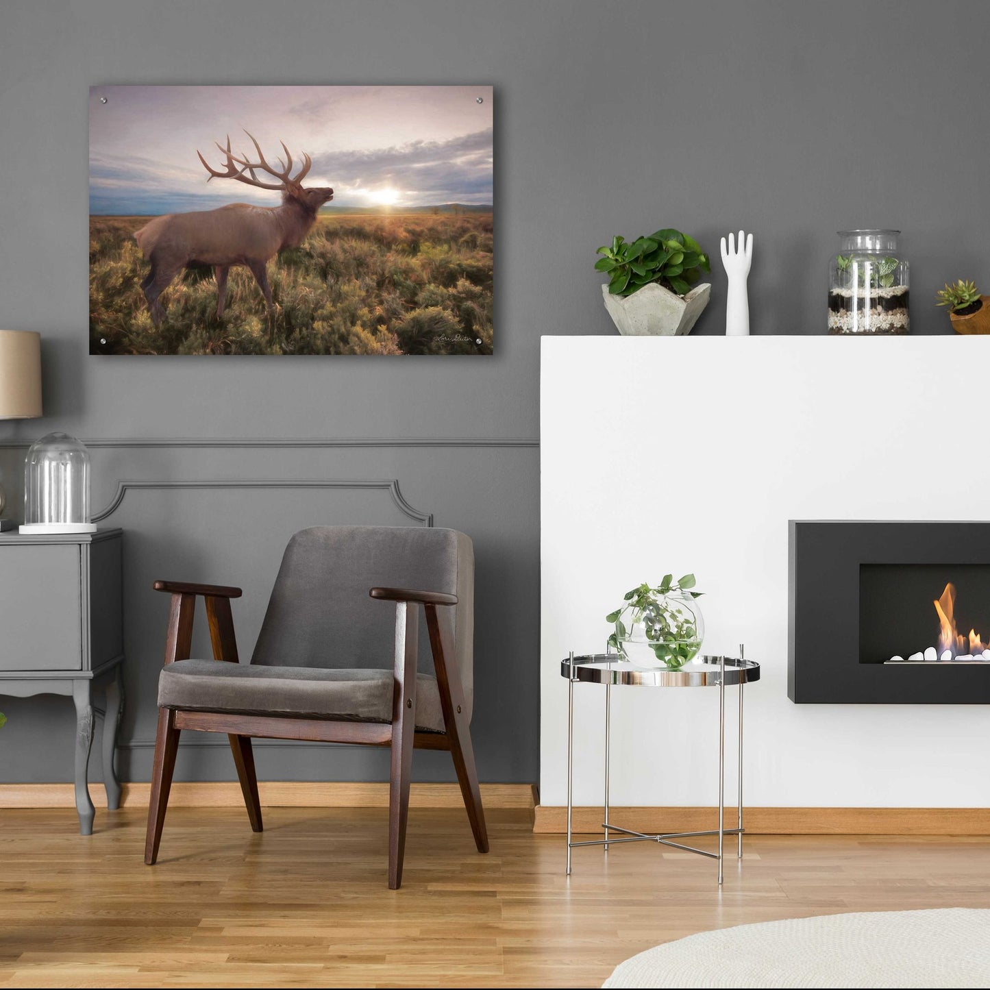 Epic Art 'Jackson Sunrise with Elk' by Lori Deiter Acrylic Glass Wall Art,36x24