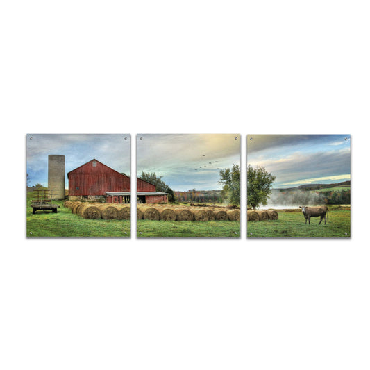 Epic Art 'Hay Harvest' by Lori Deiter Acrylic Glass Wall Art, 3 Piece Set