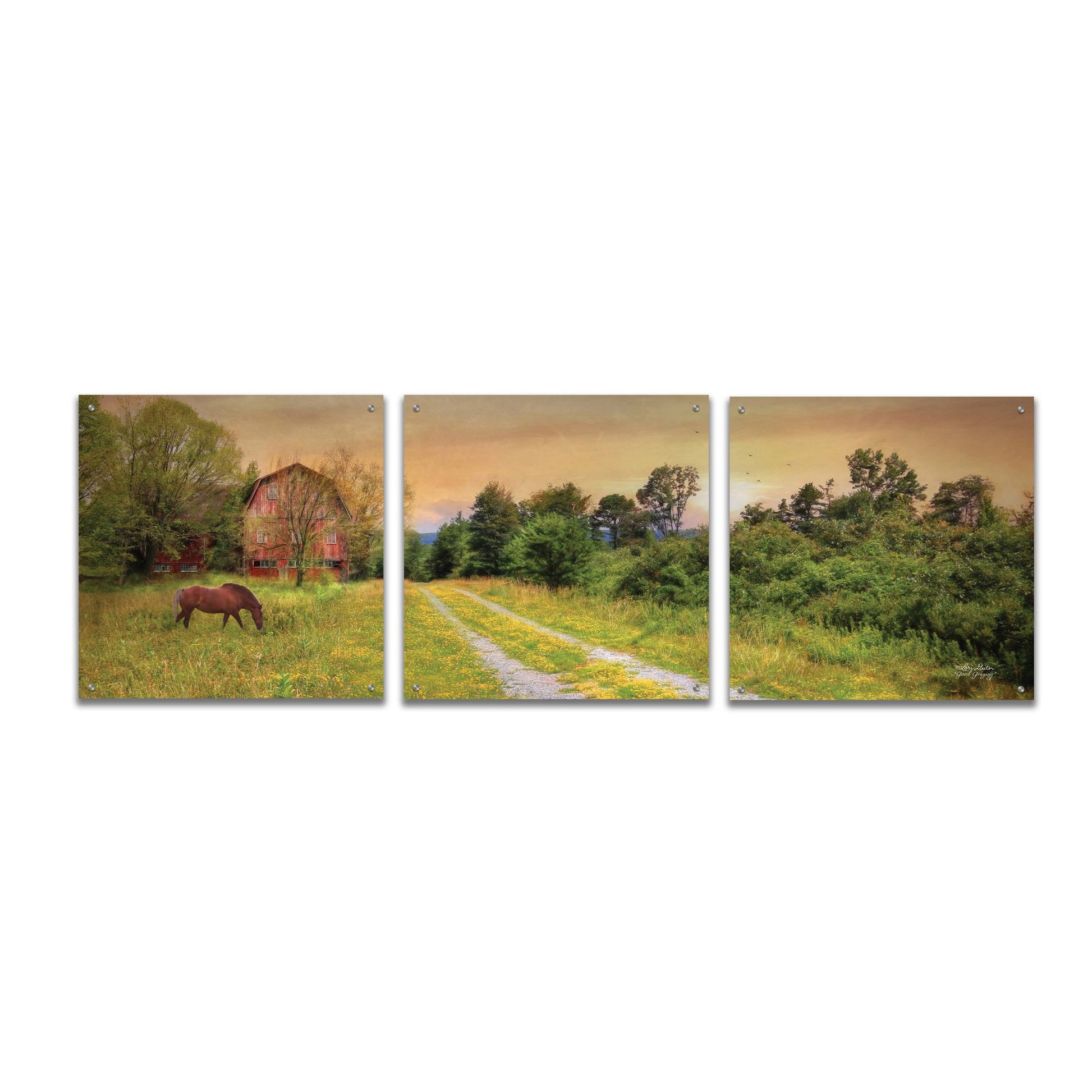 Epic Art 'Good Grazing' by Lori Deiter Acrylic Glass Wall Art, 3 Piece Set