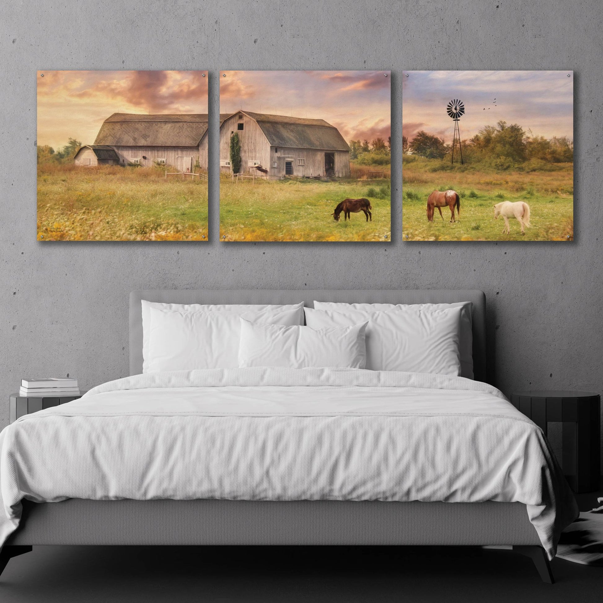 Epic Art 'Clayton Barnyard' by Lori Deiter Acrylic Glass Wall Art, 3 Piece Set,108x36