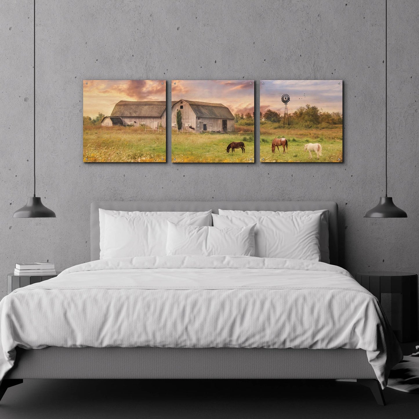 Epic Art 'Clayton Barnyard' by Lori Deiter Acrylic Glass Wall Art, 3 Piece Set,72x24