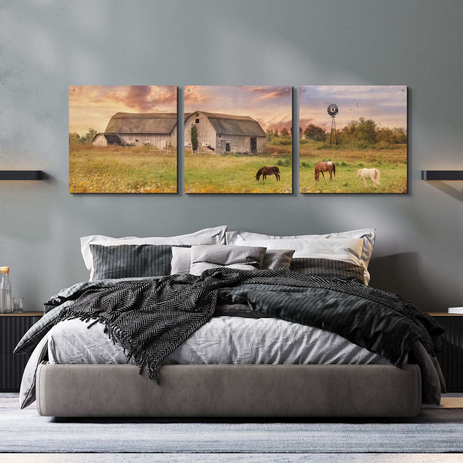 Epic Art 'Clayton Barnyard' by Lori Deiter Acrylic Glass Wall Art, 3 Piece Set,72x24