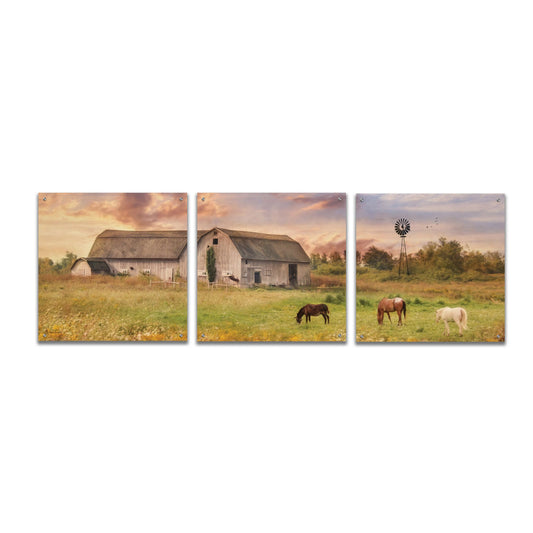 Epic Art 'Clayton Barnyard' by Lori Deiter Acrylic Glass Wall Art, 3 Piece Set