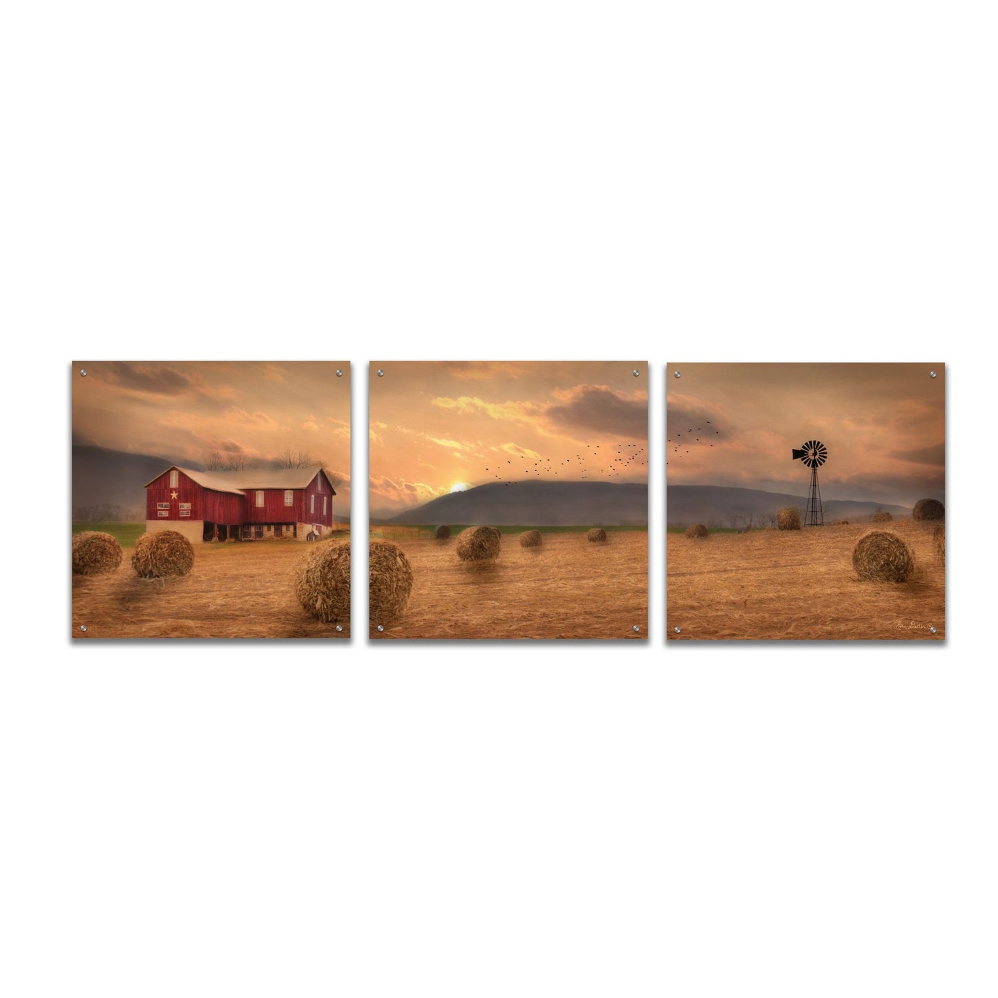 Epic Art 'Workin' the Farm' by Lori Deiter Acrylic Glass Wall Art, 3 Piece Set