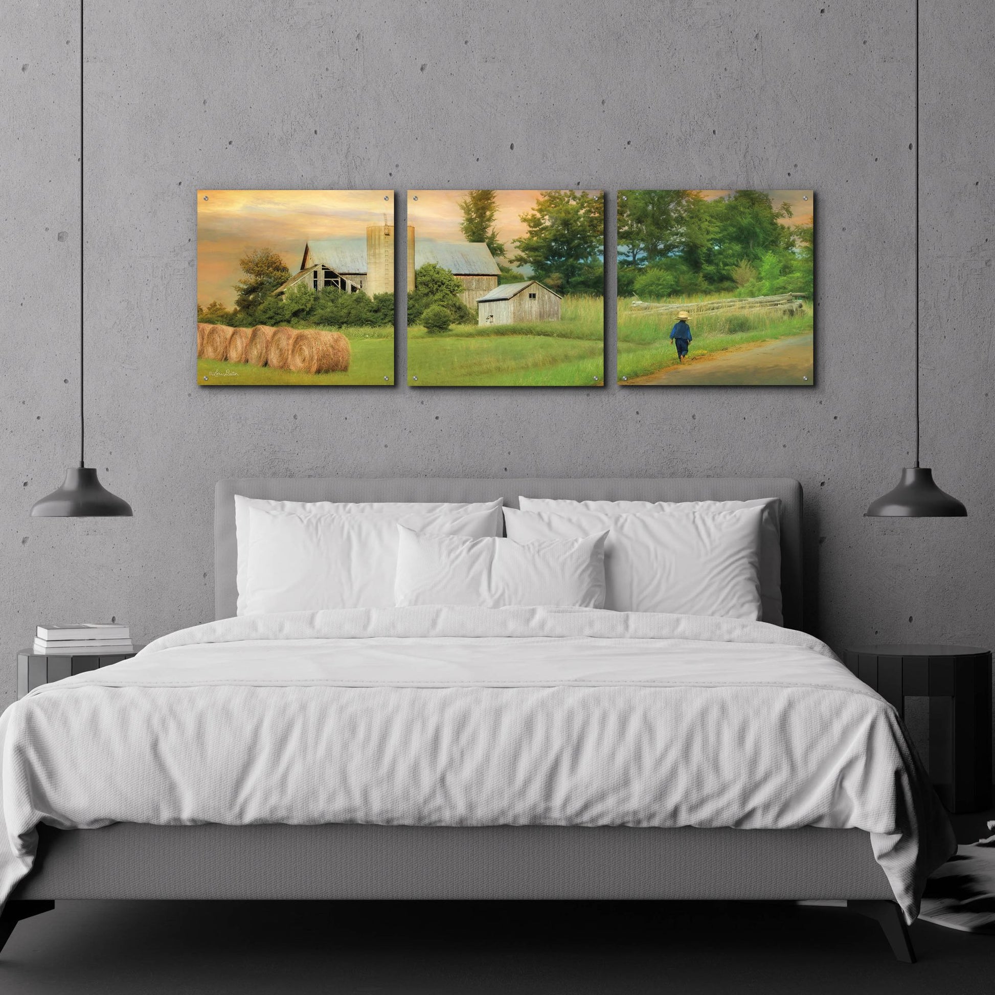 Epic Art 'Amish Barefoot Farmer' by Lori Deiter Acrylic Glass Wall Art, 3 Piece Set,72x24