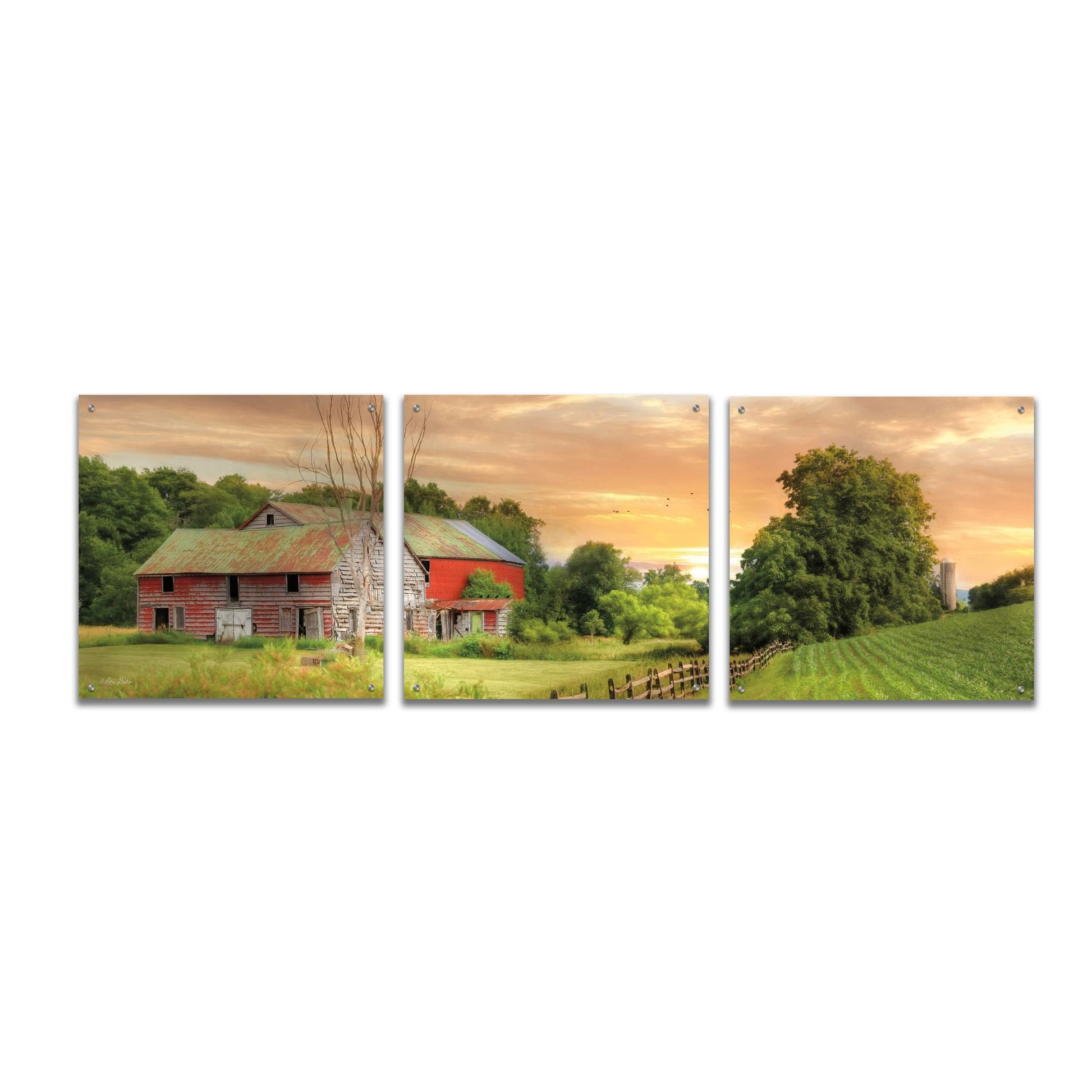 Epic Art 'Greener Pastures' by Lori Deiter Acrylic Glass Wall Art, 3 Piece Set