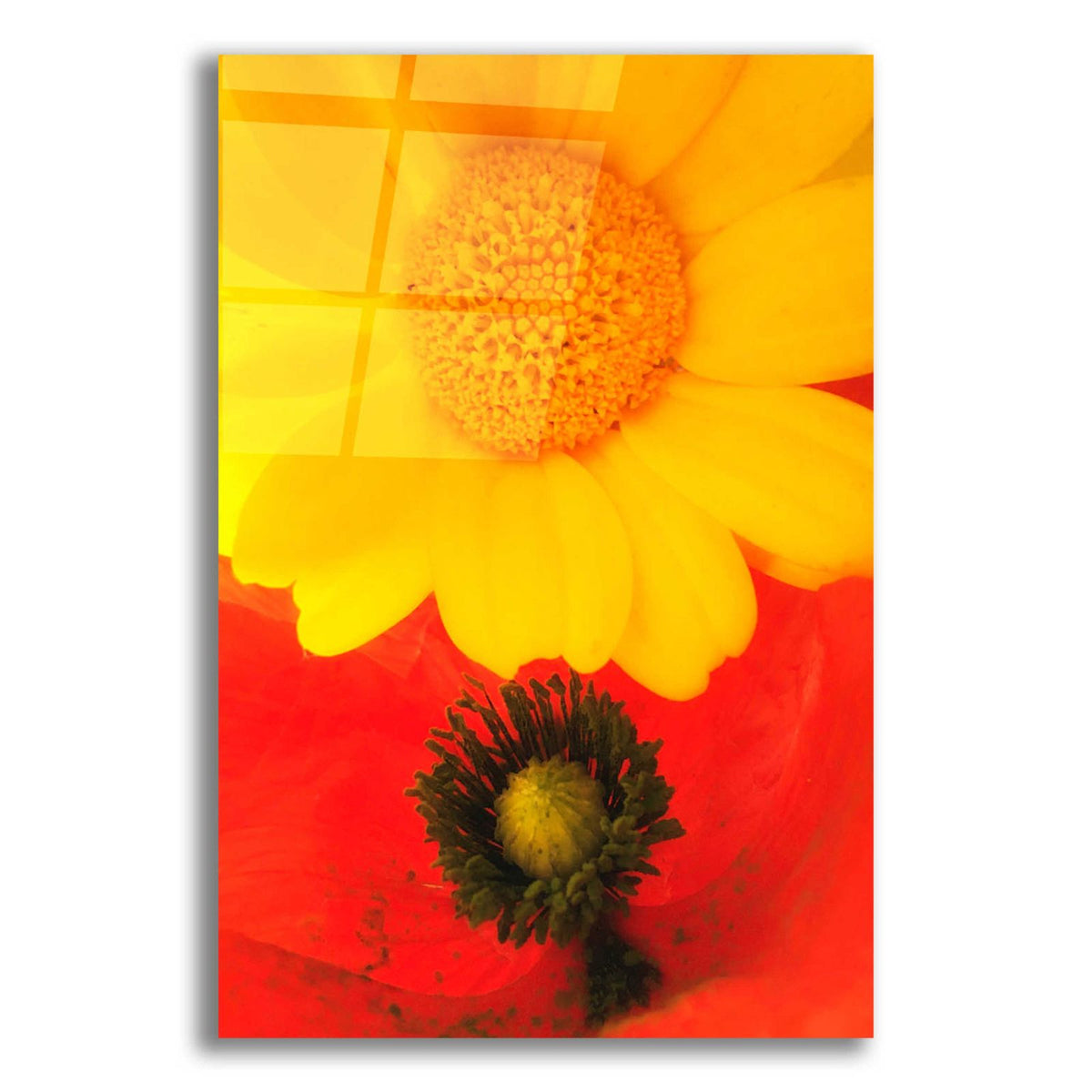Spring Love by Cesare Bellassai acrylic glass wall art
