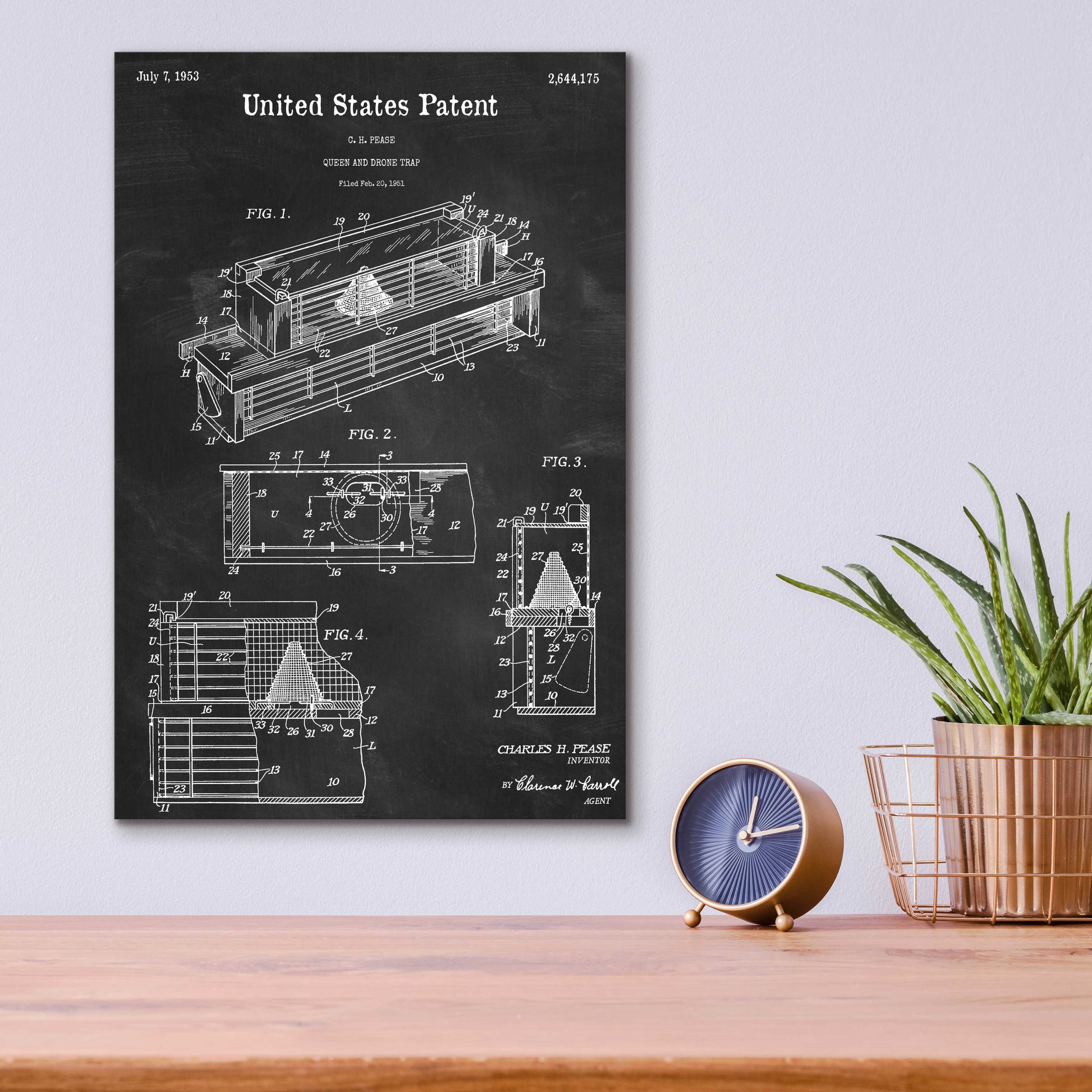 Epic Art 'Queen and Drone Trap  Blueprint Patent Chalkboard,' Acrylic Glass Wall Art,12x16