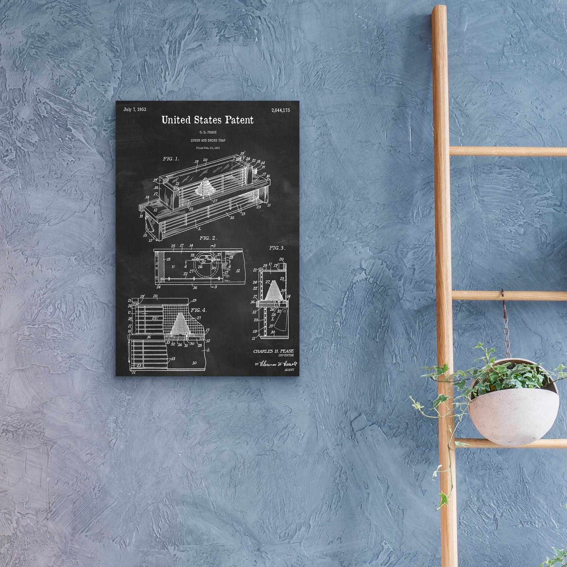 Epic Art 'Queen and Drone Trap  Blueprint Patent Chalkboard,' Acrylic Glass Wall Art,16x24