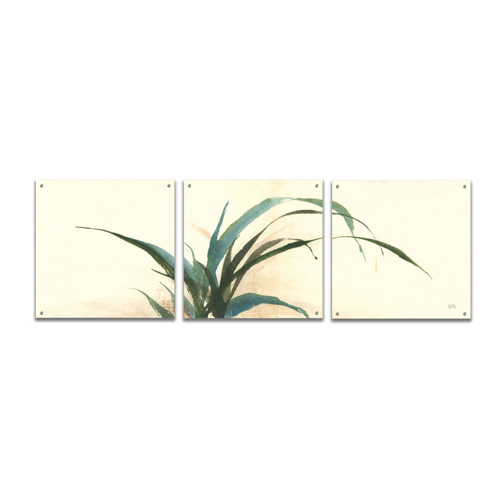 Horizontal Grass I by Chris Paschke acrylic glass wall art