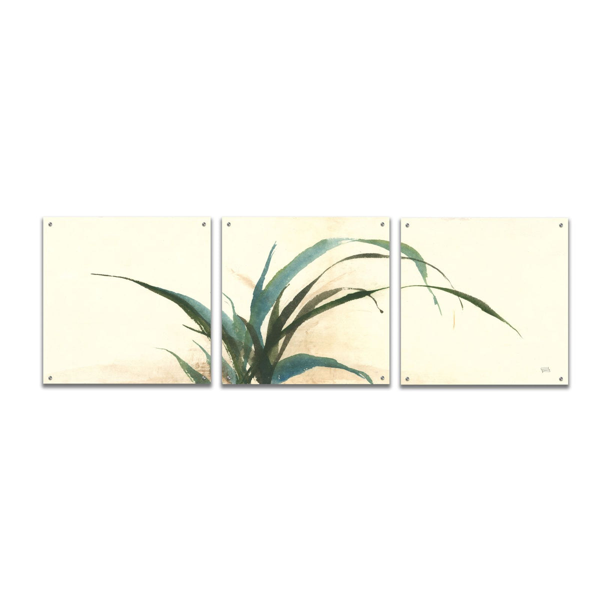 Horizontal Grass I by Chris Paschke acrylic glass wall art