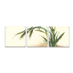 Horizontal Grass II by Chris Paschke acrylic glass wall art