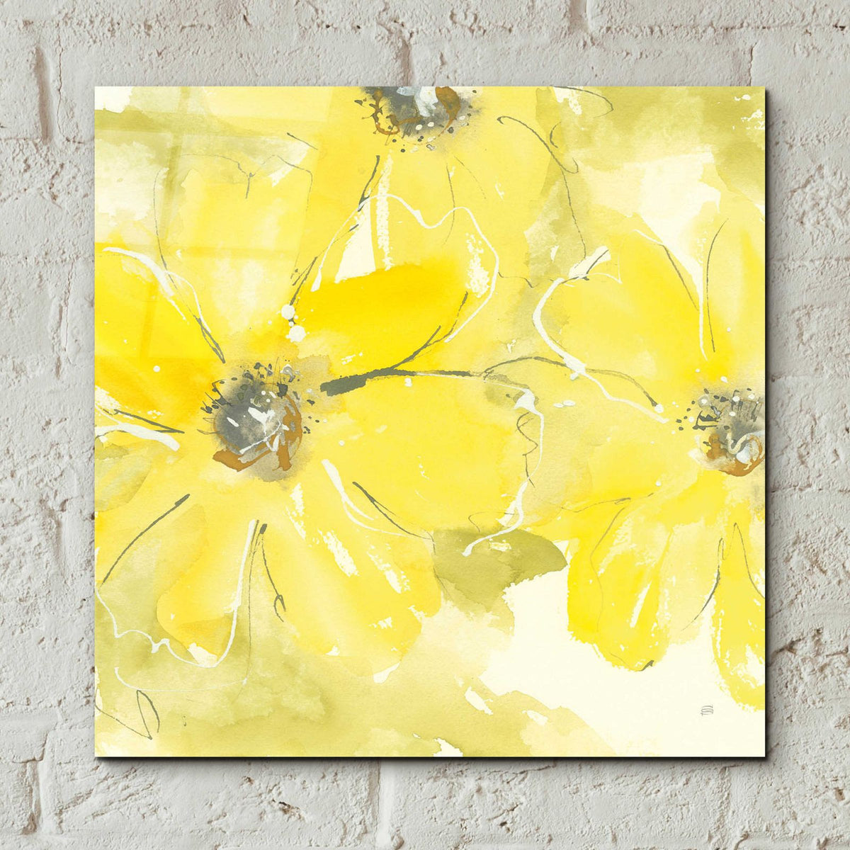 Sunshine Cosmos II by Chris Paschke - 12x12 acrylic wall art in a room