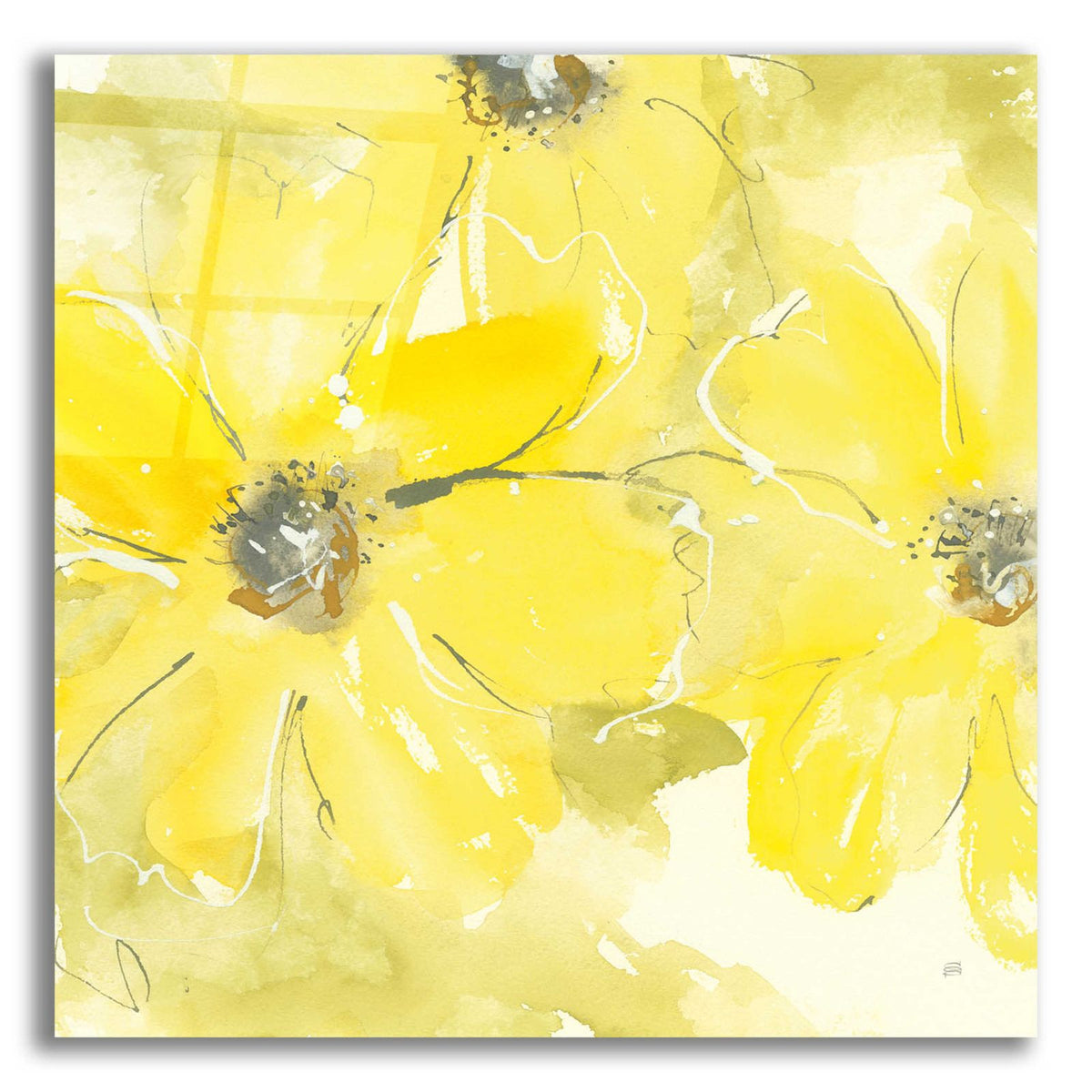 Sunshine Cosmos II by Chris Paschke acrylic glass wall art