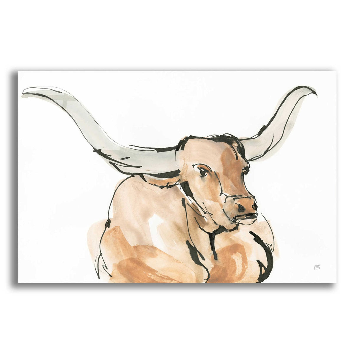 Longhorn I by Chris Paschke acrylic glass wall art