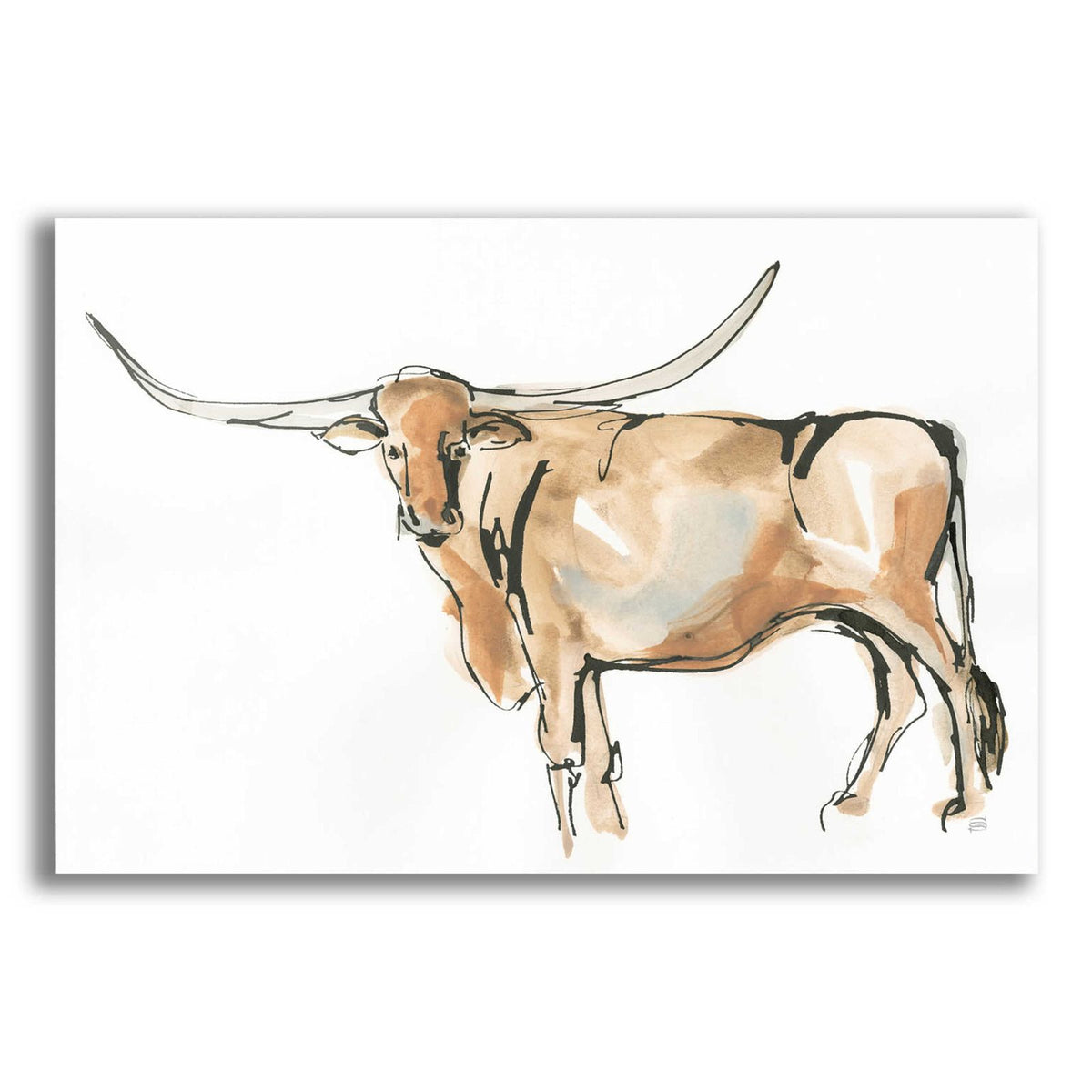 Longhorn II by Chris Paschke acrylic glass wall art