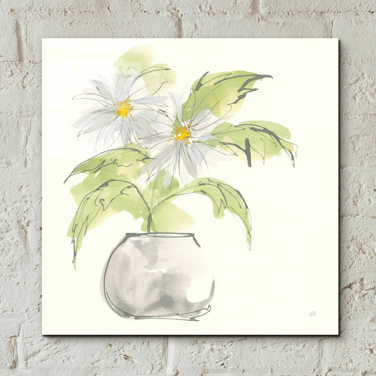 Plant Daisy I by Chris Paschke - 12x12 acrylic wall art in a room