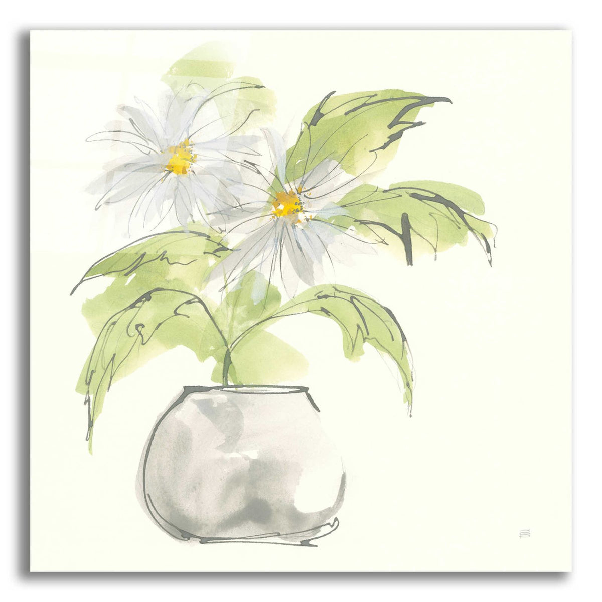 Plant Daisy I by Chris Paschke acrylic glass wall art