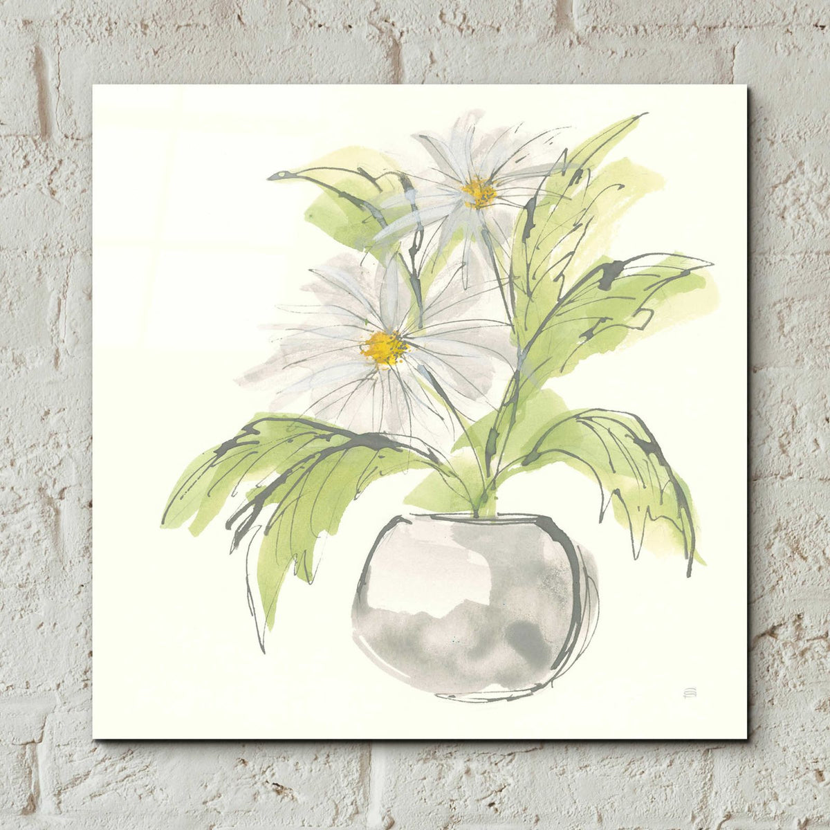 Plant Daisy II by Chris Paschke - 12x12 acrylic wall art in a room