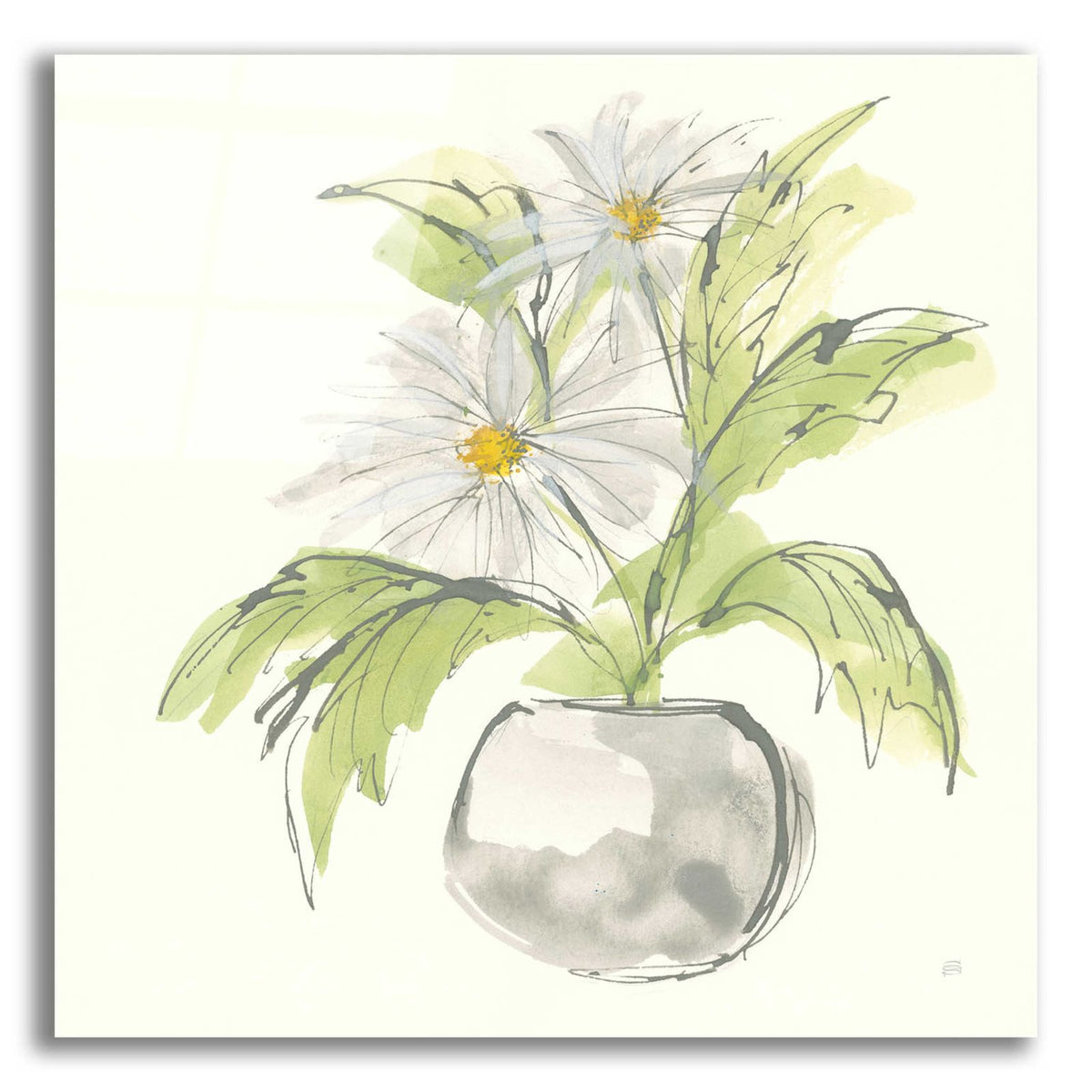 Plant Daisy II by Chris Paschke acrylic glass wall art