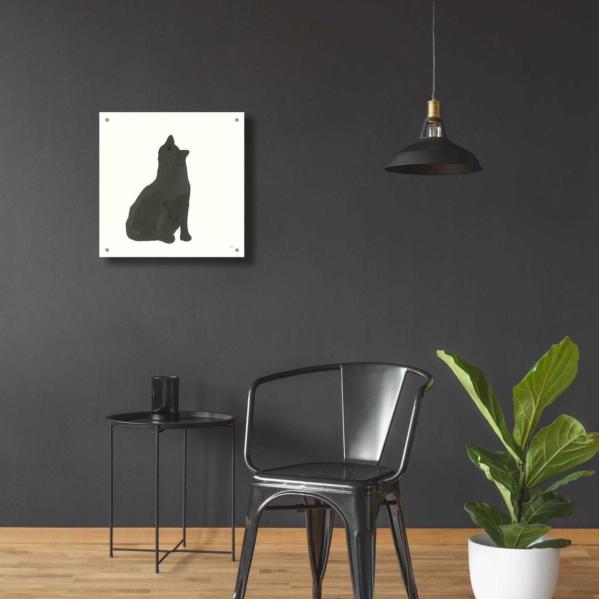 Black Cat I by Chris Paschke - 24x24 acrylic wall art in a room