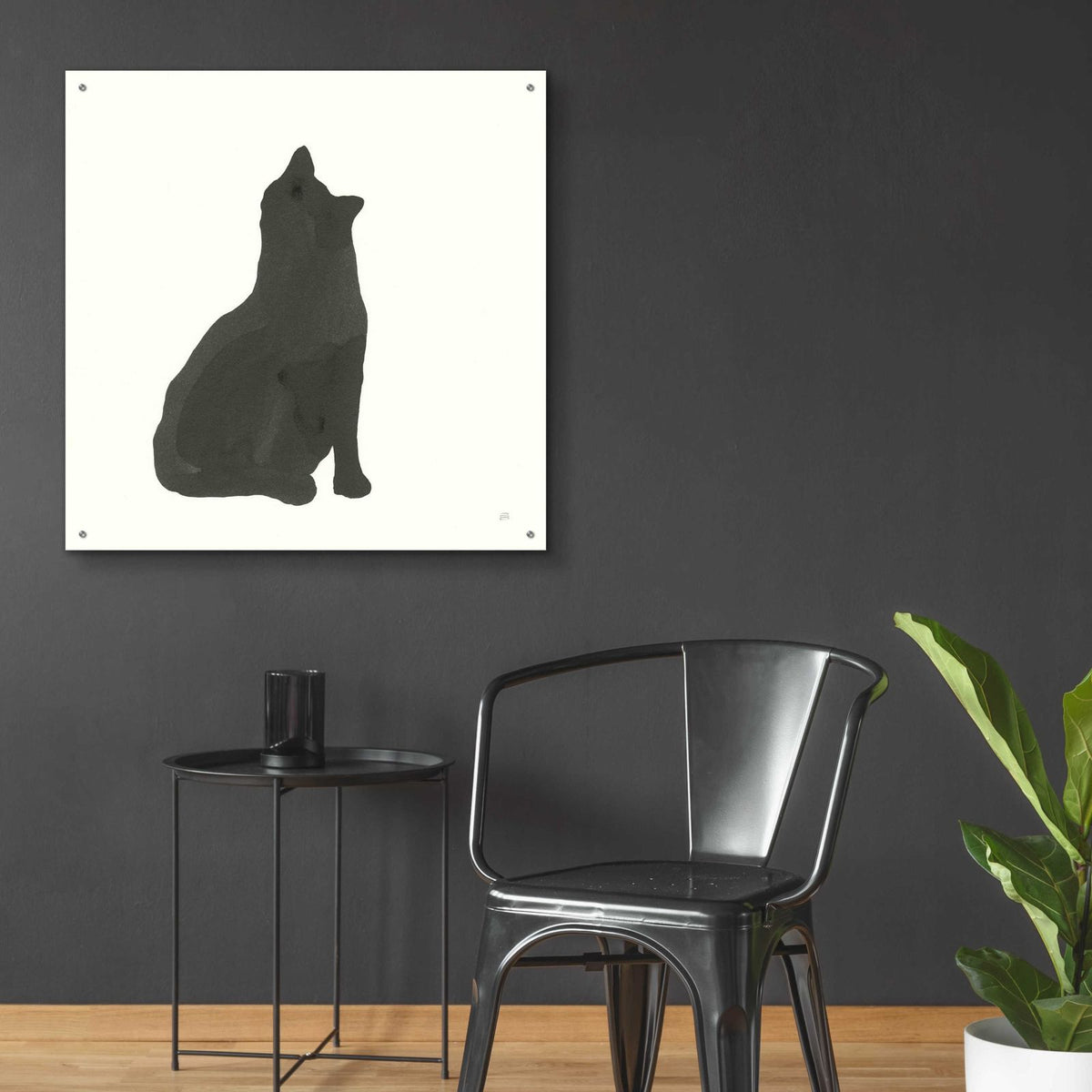 Black Cat I by Chris Paschke - 36x36 acrylic wall art in a room