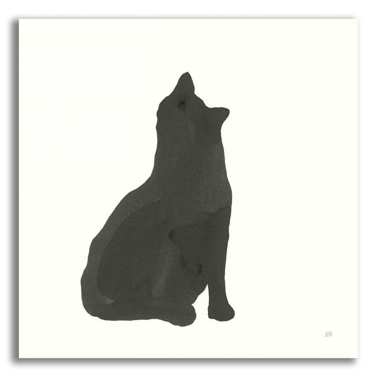 Black Cat I by Chris Paschke acrylic glass wall art