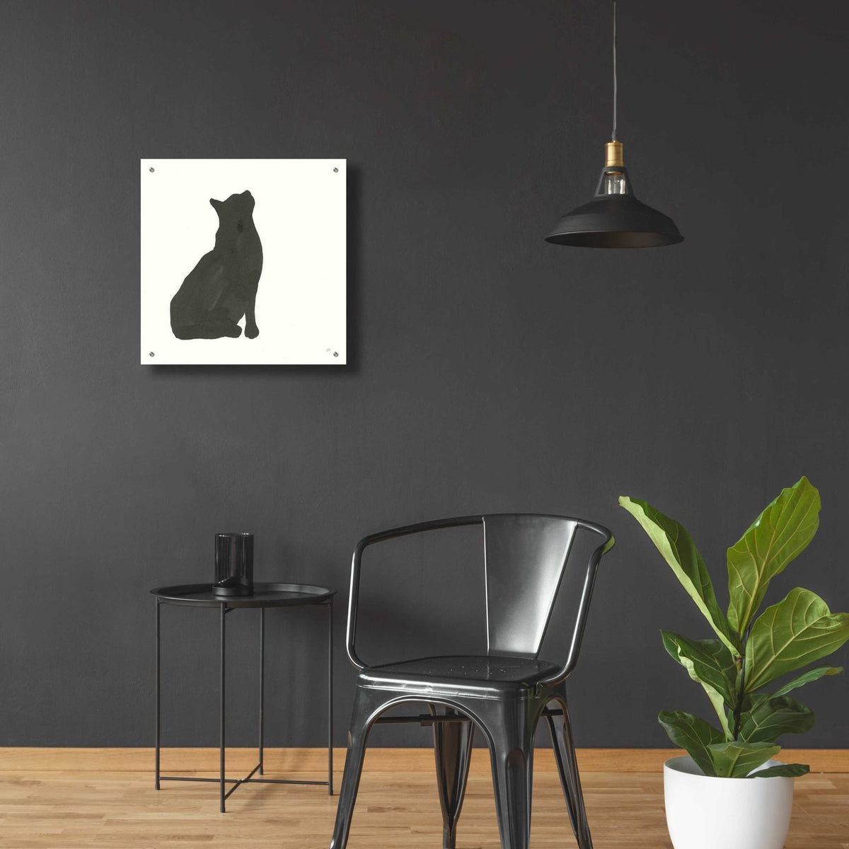 Black Cat III by Chris Paschke - 24x24 acrylic wall art in a room