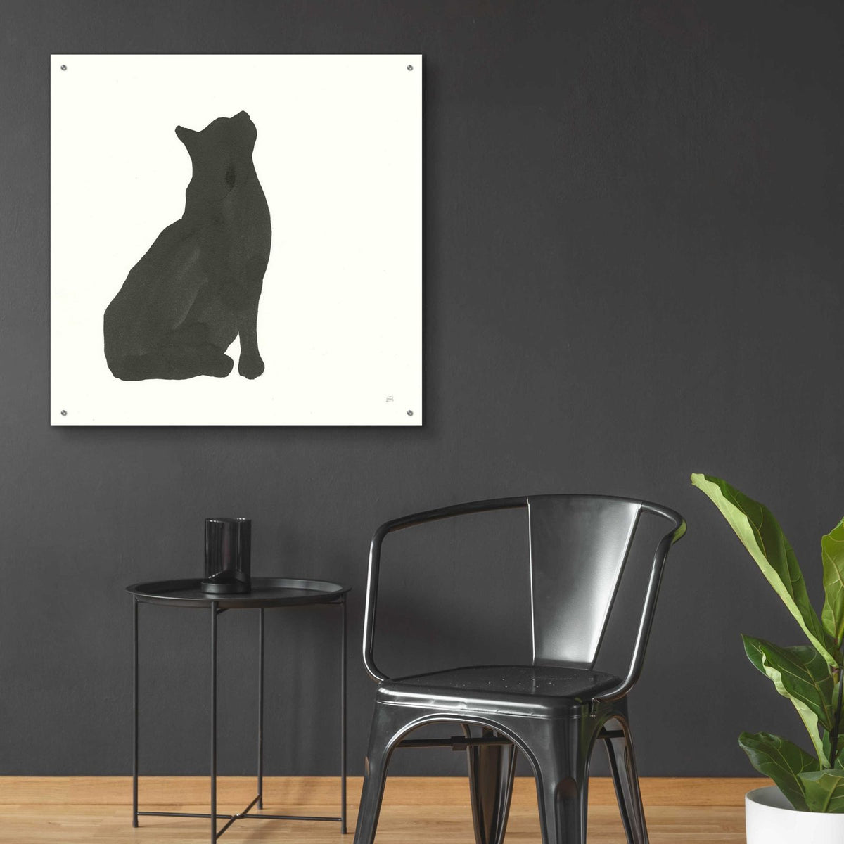 Black Cat III by Chris Paschke - 36x36 acrylic wall art in a room