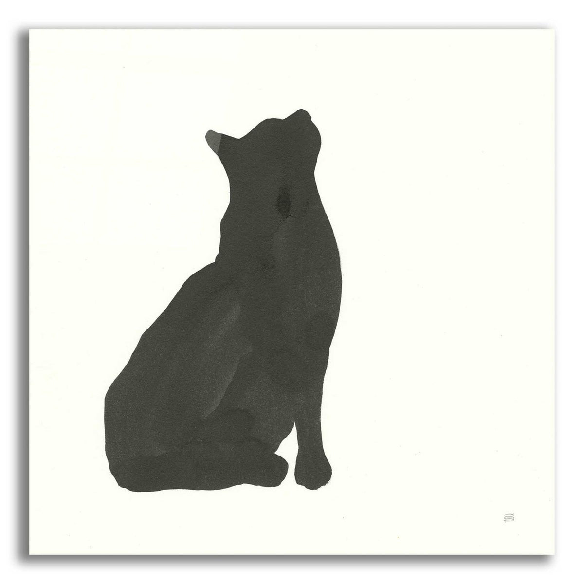 Black Cat III by Chris Paschke acrylic glass wall art