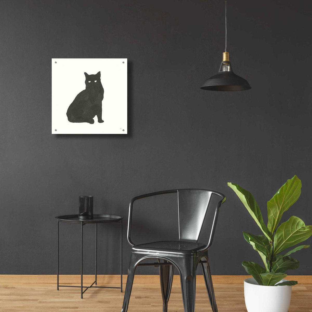 Black Cat V by Chris Paschke - 24x24 acrylic wall art in a room