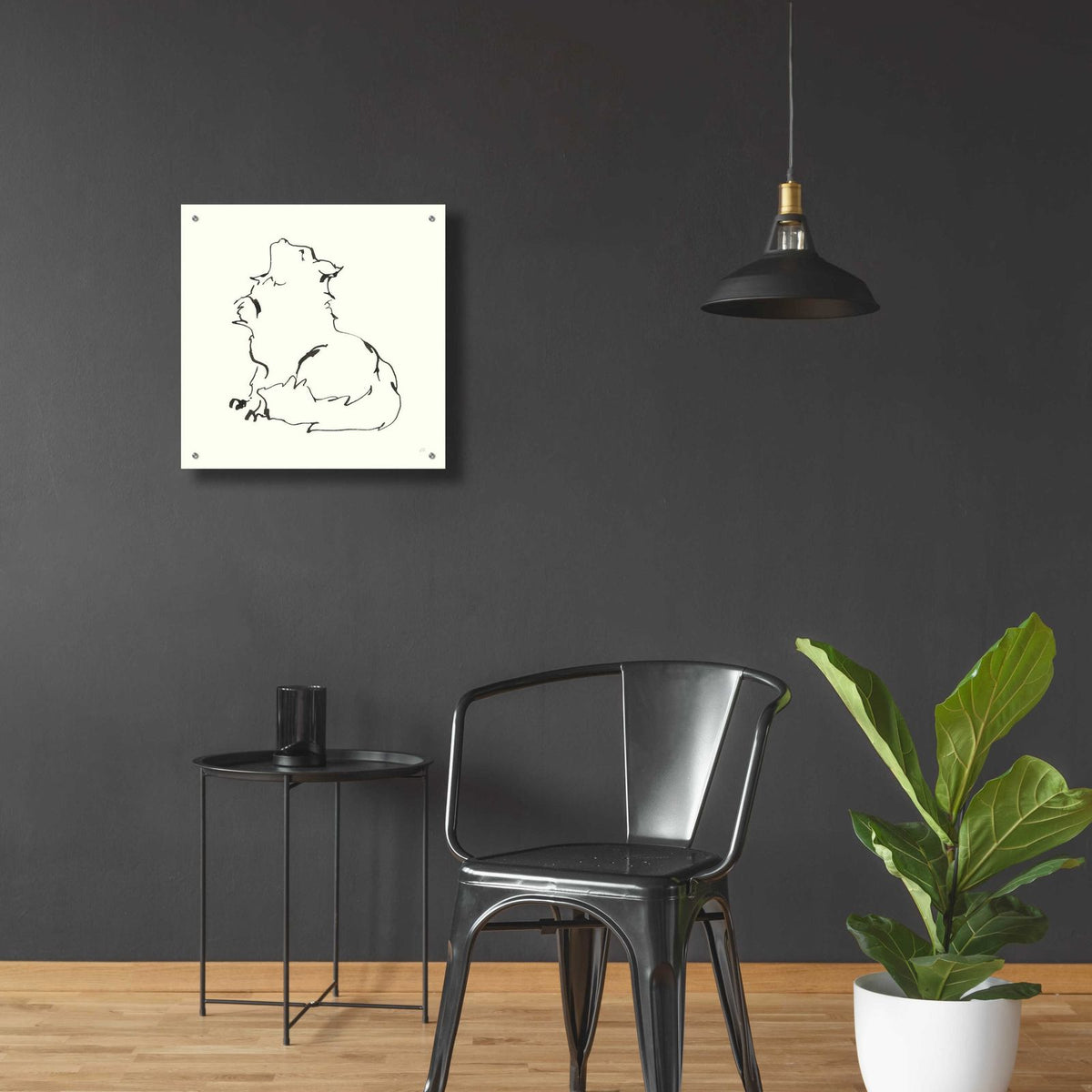 Line Kitten I by Chris Paschke - 24x24 acrylic wall art in a room