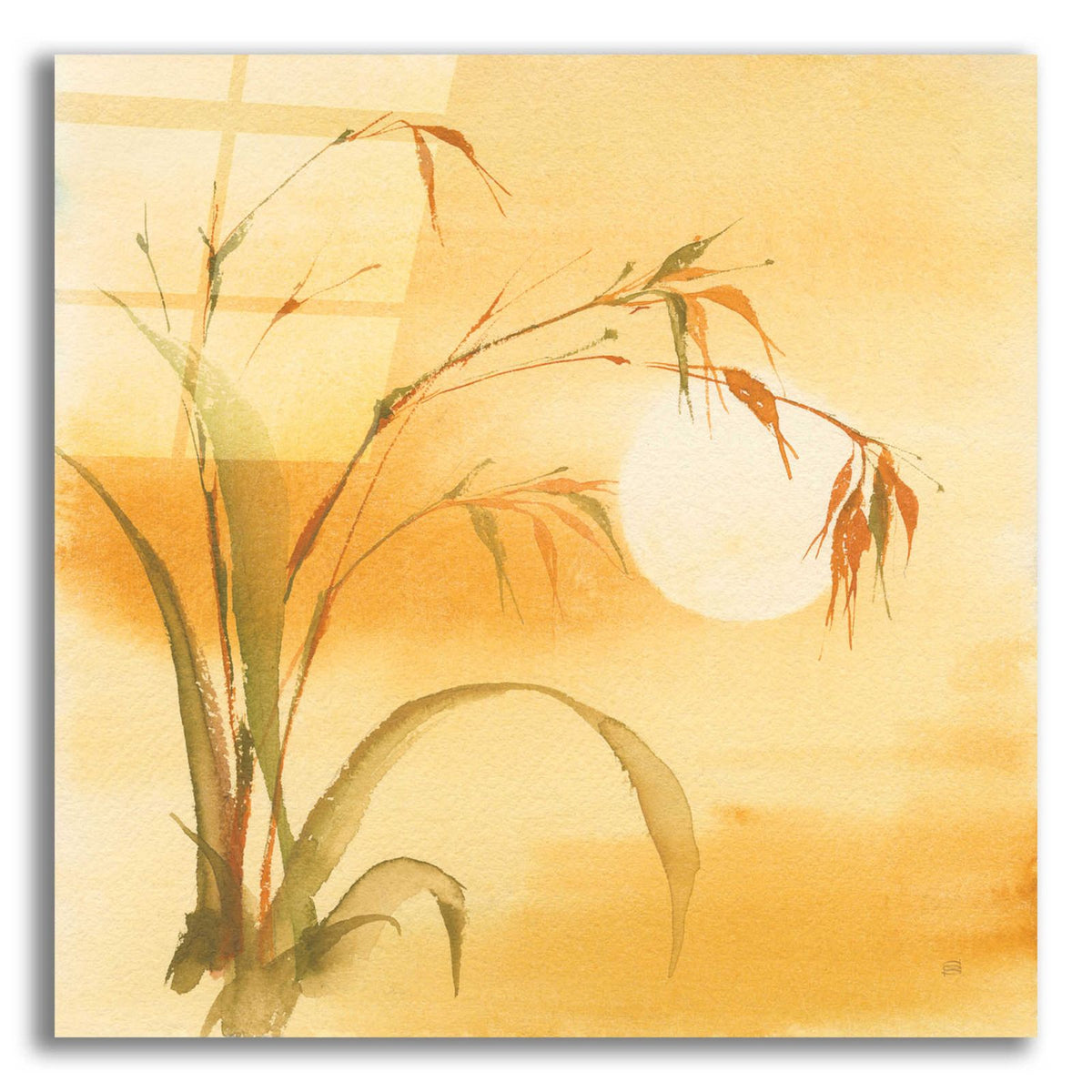 Moon Season Summer by Chris Paschke acrylic glass wall art