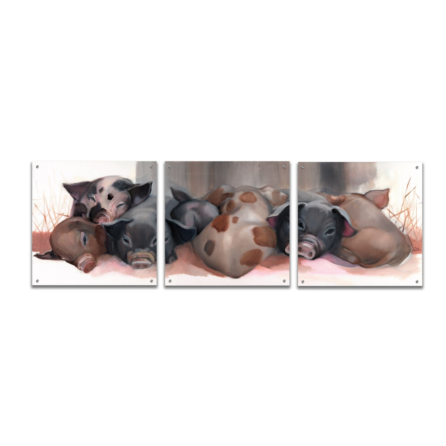 Epic Art 'Pig Pile' by Louise Montillio Acrylic Glass Wall Art, 3 Piece Set