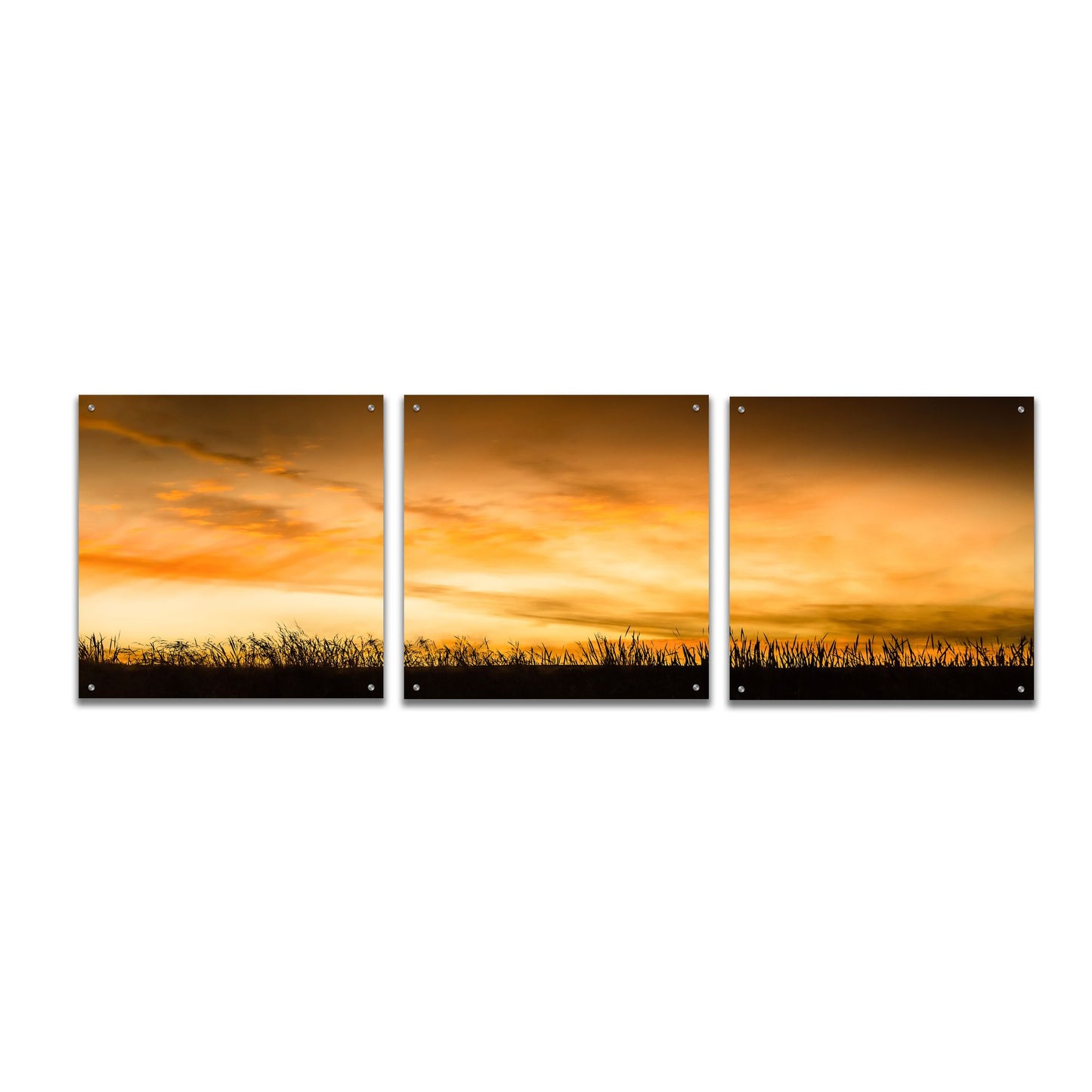 Epic Art 'Pastoral Sunrise' by Don Schwartz, Acrylic Glass Wall Art, 3 Piece Set