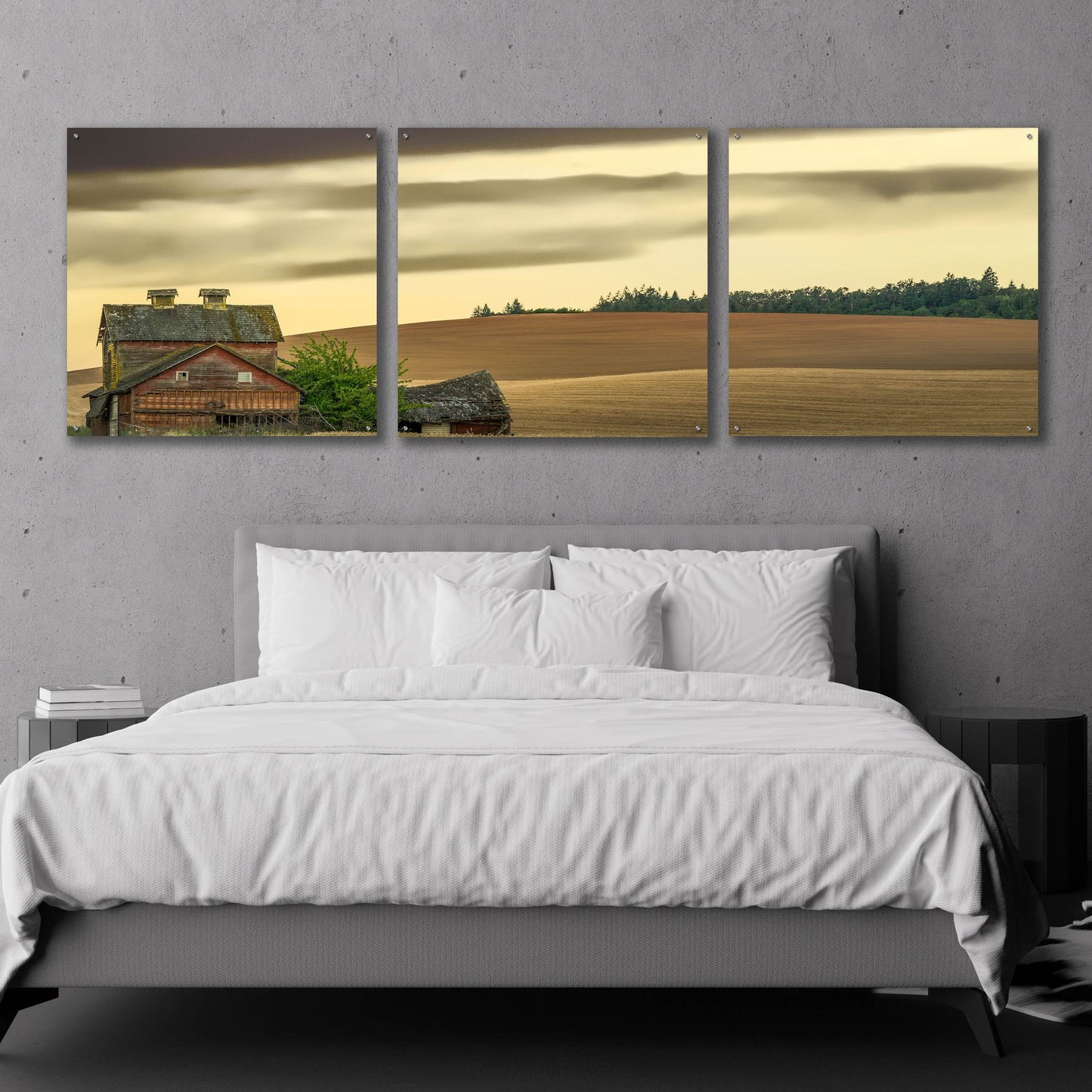 Epic Art 'Abandoned' by Don Schwartz, Acrylic Glass Wall Art, 3 Piece Set,108x36