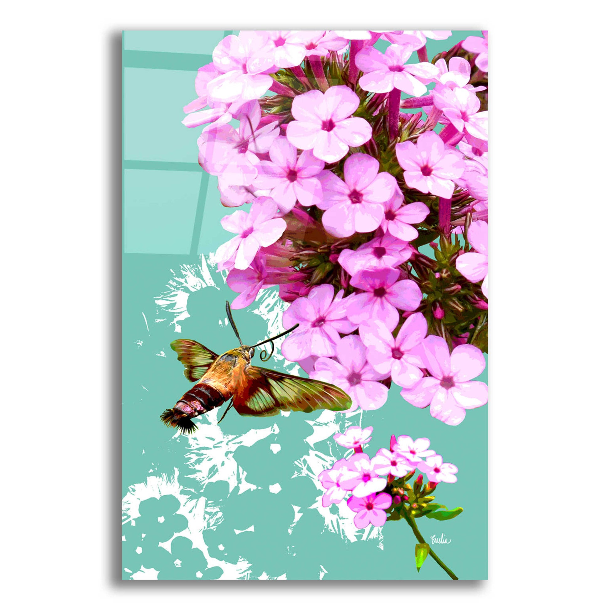 Epic Art 'Clearwing On Flox' by Evelia Designs Acrylic Glass Wall Art