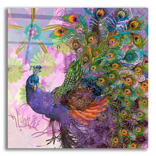 Epic Art 'Peacock Prance' by Evelia Designs Acrylic Glass Wall Art