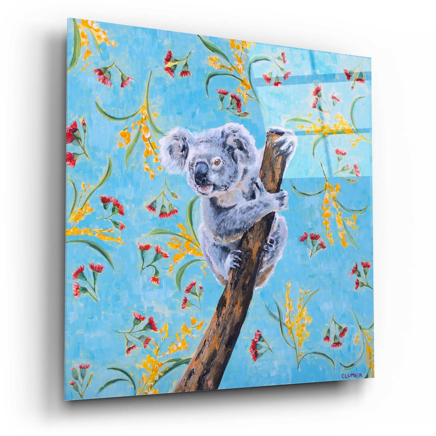 Epic Art 'Koala by Alana Clumeck Acrylic Glass Wall Art,12x12