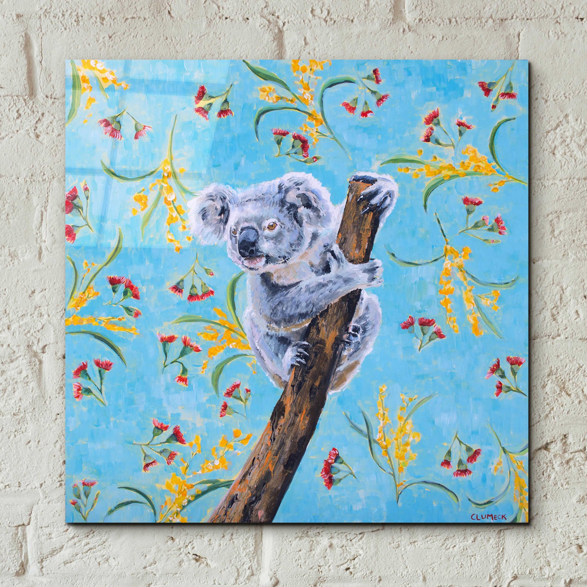 Epic Art 'Koala by Alana Clumeck Acrylic Glass Wall Art,12x12