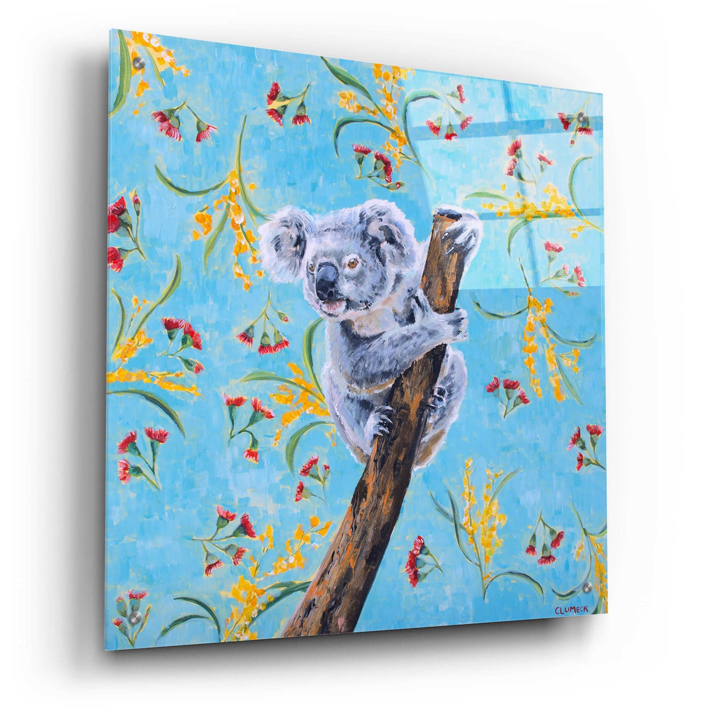 Epic Art 'Koala by Alana Clumeck Acrylic Glass Wall Art,24x24