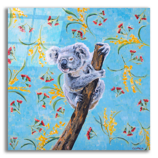 Epic Art 'Koala by Alana Clumeck Acrylic Glass Wall Art