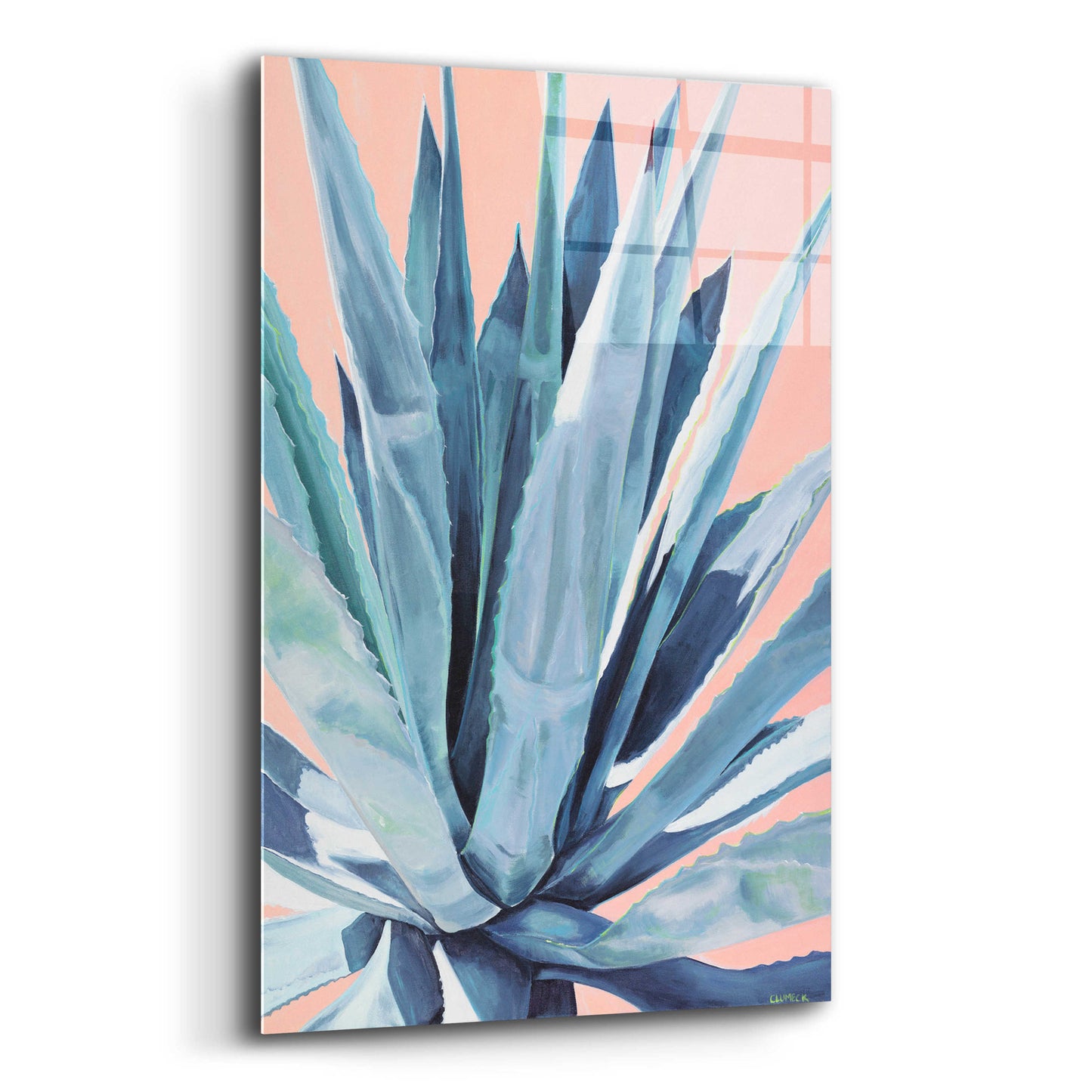 Epic Art 'Agave With Coral by Alana Clumeck Acrylic Glass Wall Art,12x16