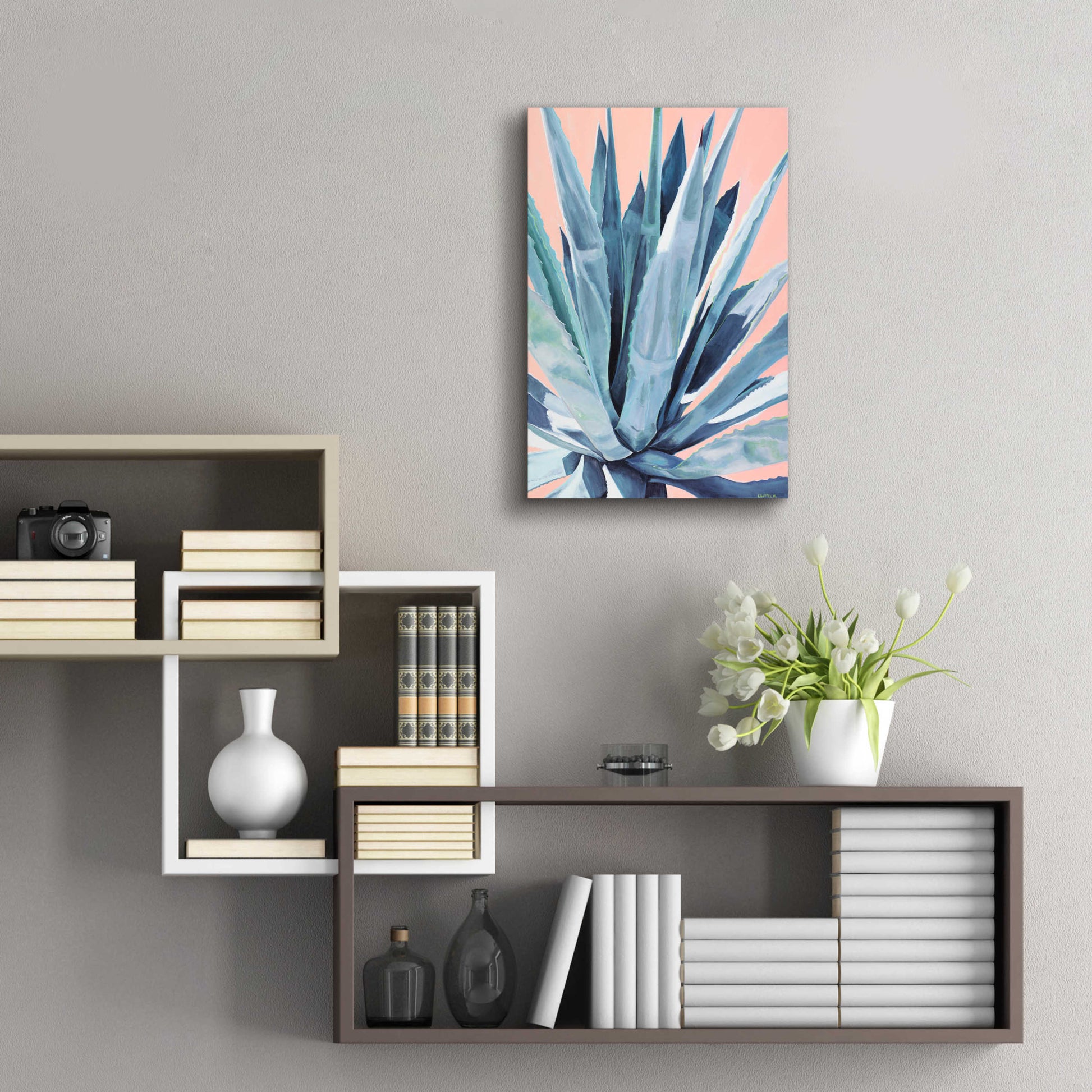 Epic Art 'Agave With Coral by Alana Clumeck Acrylic Glass Wall Art,16x24