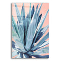 Epic Art 'Agave With Coral by Alana Clumeck Acrylic Glass Wall Art