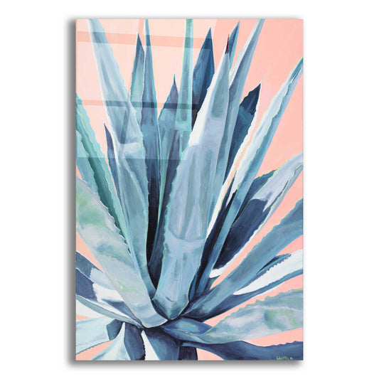 Epic Art 'Agave With Coral by Alana Clumeck Acrylic Glass Wall Art