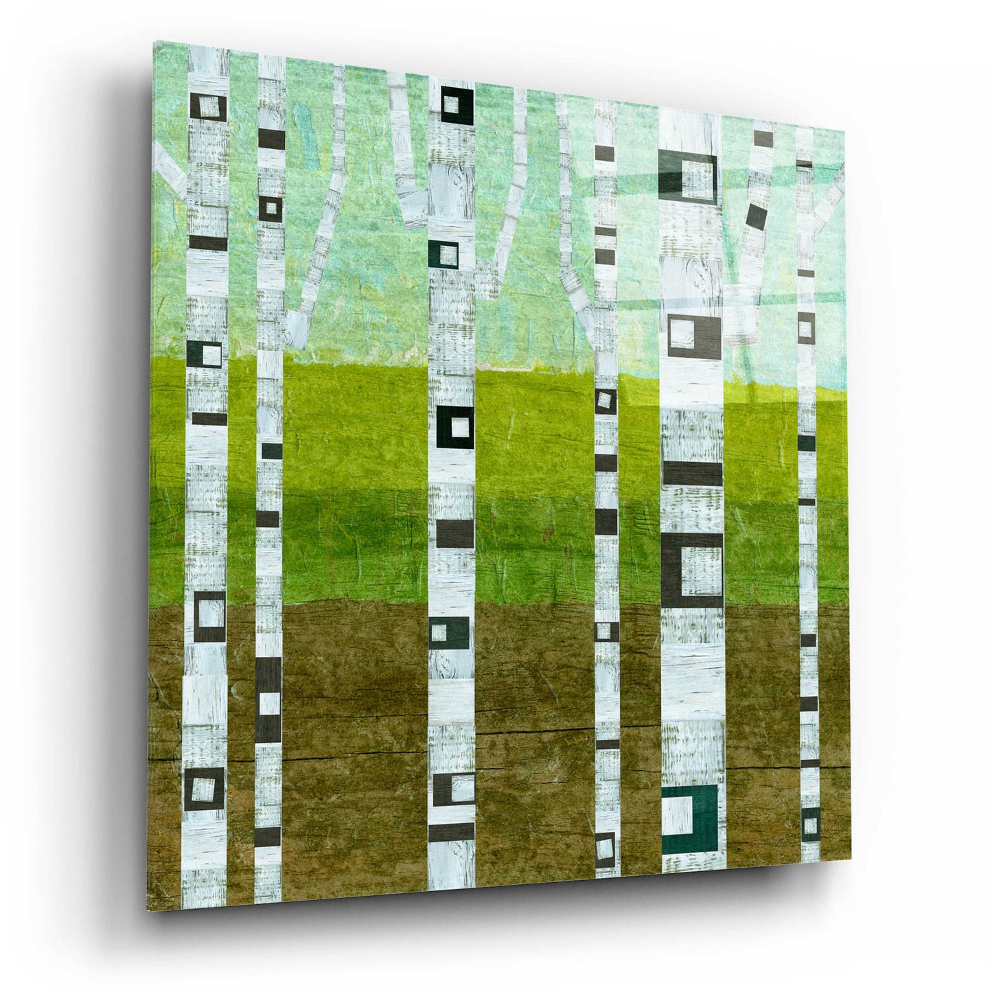 Epic Art 'Summer Birches' by Michelle Calkins, Acrylic Glass Wall Art,12x12